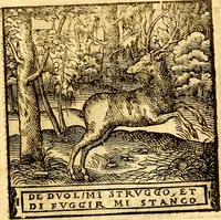 Picture 47 of 60 from Hadriani Iunii Emblemata : eiusdem Aenigmatum libellus (1596), leaf 56