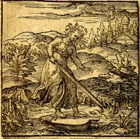 Picture 53 of 60 from Hadriani Iunii Emblemata : eiusdem Aenigmatum libellus (1596), leaf 63