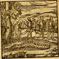 An illustration from Hadriani Iunii Emblemata : eiusdem Aenigmatum libellus (1596)