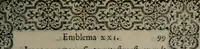 Picture 104 of 133 from Hadriani Iunii medici Emblemata (1565), leaf 102