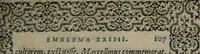 An illustration from Hadriani Iunii medici Emblemata (1565)