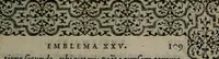 An illustration from Hadriani Iunii medici Emblemata (1565)