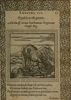 An illustration from Hadriani Iunii medici Emblemata (1565)