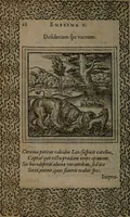 Picture 20 of 133 from Hadriani Iunii medici Emblemata (1565), leaf 19