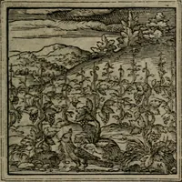 An illustration from Hadriani Iunii medici Emblemata (1565)