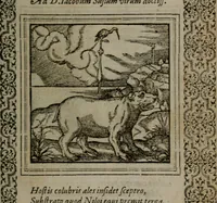 An illustration from Hadriani Iunii medici Emblemata (1565)