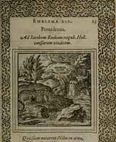 Picture 32 of 133 from Hadriani Iunii medici Emblemata (1565), leaf 28
