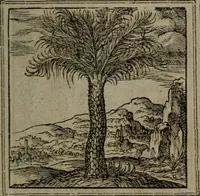 An illustration from Hadriani Iunii medici Emblemata (1565)