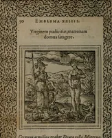 Picture 39 of 133 from Hadriani Iunii medici Emblemata (1565), leaf 33