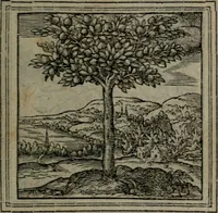 An illustration from Hadriani Iunii medici Emblemata (1565)