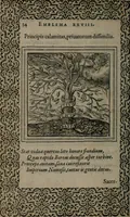 An illustration from Hadriani Iunii medici Emblemata (1565)