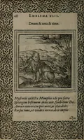 Picture 60 of 133 from Hadriani Iunii medici Emblemata (1565), leaf 51