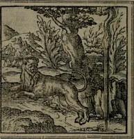 An illustration from Hadriani Iunii medici Emblemata (1565)