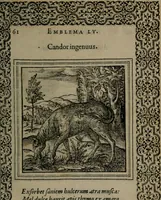 Picture 79 of 133 from Hadriani Iunii medici Emblemata (1565), leaf 64