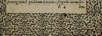 Picture 89 of 133 from Hadriani Iunii medici Emblemata (1565), leaf 74