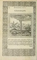 Picture 1 of 17 from Hadriani Ivnii medici Emblemata : eivsdem Aenigmatvm libellus (1565), leaf 22