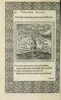 An illustration from Hadriani Ivnii medici Emblemata : eivsdem Aenigmatvm libellus (1565)