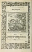 An illustration from Hadriani Ivnii medici Emblemata : eivsdem Aenigmatvm libellus (1565)
