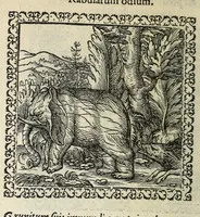 An illustration from Hadriani Ivnii medici Emblemata. Eivsdem Aenigmatvm libellvs (1566)