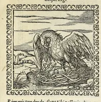 An illustration from Hadriani Ivnii medici Emblemata. Eivsdem Aenigmatvm libellvs (1566)