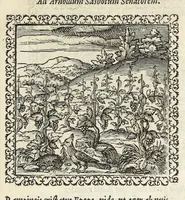 An illustration from Hadriani Ivnii medici Emblemata. Eivsdem Aenigmatvm libellvs (1566)