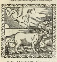 An illustration from Hadriani Ivnii medici Emblemata. Eivsdem Aenigmatvm libellvs (1566)