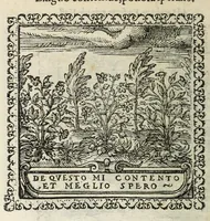 An illustration from Hadriani Ivnii medici Emblemata. Eivsdem Aenigmatvm libellvs (1566)