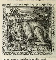 An illustration from Hadriani Ivnii medici Emblemata. Eivsdem Aenigmatvm libellvs (1566)