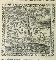 An illustration from Hadriani Ivnii medici Emblemata. Eivsdem Aenigmatvm libellvs (1566)