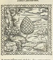 Picture 23 of 34 from Hadriani Ivnii medici Emblemata. Eivsdem Aenigmatvm libellvs (1566), leaf 47