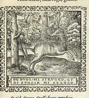 An illustration from Hadriani Ivnii medici Emblemata. Eivsdem Aenigmatvm libellvs (1566)