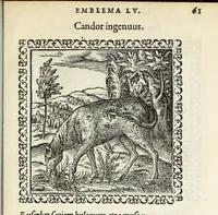 Picture 32 of 34 from Hadriani Ivnii medici Emblemata. Eivsdem Aenigmatvm libellvs (1566), leaf 65
