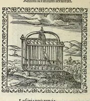 An illustration from Hadriani Ivnii medici Emblemata. Eivsdem Aenigmatvm libellvs (1566)