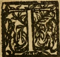 An illustration from Haec homo : wherein the excellency of the creation of woman is described, by way of an essay (1639)