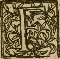 An illustration from Haec homo : wherein the excellency of the creation of woman is described, by way of an essay (1639)