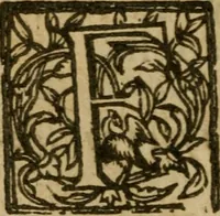 An illustration from Haec homo : wherein the excellency of the creation of woman is described, by way of an essay (1639)