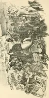 An illustration from Hafed, prince of Persia : his experiences in earth-life and spirit-life ; being spirit communications received through Mr. David Duguid, the Glasgow trance-painting medium ; with an appendix, containing communications from the spirit artists, Ruisdal and Steen (1876)