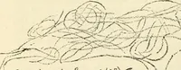 An illustration from Hafed, prince of Persia : his experiences in earth-life and spirit-life ; being spirit communications received through Mr. David Duguid, the Glasgow trance-painting medium ; with an appendix, containing communications from the spirit artists, Ruisdal and Steen (1876)