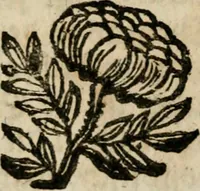 An illustration from Haimb-Garten zweyen Herren von Augspurg, eines Catholischen, und eines Lutherischen, angestellt uber etwelche Glaubens-Zweiffel, und in den Druck hervor gegeben (1710)