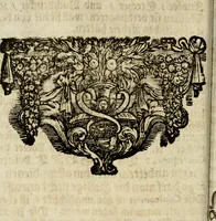 An illustration from Haimb-Garten zweyen Herren von Augspurg, eines Catholischen, und eines Lutherischen, angestellt uber etwelche Glaubens-Zweiffel, und in den Druck hervor gegeben (1710)