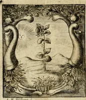 An illustration from Haimb-Garten zweyen Herren von Augspurg, eines Catholischen, und eines Lutherischen, angestellt uber etwelche Glaubens-Zweiffel, und in den Druck hervor gegeben (1710)