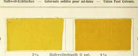 An illustration from Halbwoll-Echtfarben = Colorants solides pour mi-laine = Union fast colours (1890)