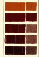 An illustration from Halbwollfarben für Kleiderfärber = Couleurs sur mi-laine pour teinturiers-dégraisseurs (1910)