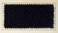 An illustration from Halbwollstoffe gefärbt mit Diaminechtfarben und Halbwollechtfarben : Spezialkarte H-W No. 2 = Union goods dyed with diamine fast colours and union fast colours : special card H-W no. 2 (1900)