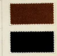 An illustration from Halbwollstoffe gefärbt mit Diaminechtfarben und Halbwollechtfarben : Spezialkarte H-W No. 2 = Union goods dyed with diamine fast colours and union fast colours : special card H-W no. 2 (1900)
