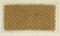 An illustration from Halbwollstoffe gefärbt mit Diaminechtfarben und Halbwollechtfarben : Spezialkarte H-W No. 2 = Union goods dyed with diamine fast colours and union fast colours : special card H-W no. 2 (1900)