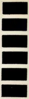 An illustration from Halbwollstoffe gefärbt mit Diaminechtfarben und Halbwollechtfarben : Spezialkarte H-W No. 2 = Union goods dyed with diamine fast colours and union fast colours : special card H-W no. 2 (1900)