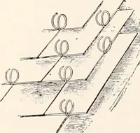 An illustration from A half century of Boston's building : the construction of buildings, the enactment of building laws and ordinances, sanitary laws, the ancient and modern building, building statistics, Boston's valuation, a chapter of Boston's big fire, fire losses, public lands account, prominent architects, contractors and builders, building materials and their source of supply, inspection of buildings, the building and plumbing associations (1895)