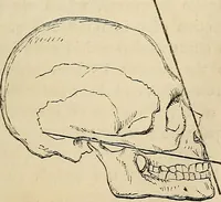 An illustration from Half-hour lectures on the history and practice of the fine and ornamental arts (1861)