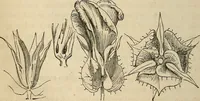 An illustration from Half-hour lectures on the history and practice of the fine and ornamental arts (1861)